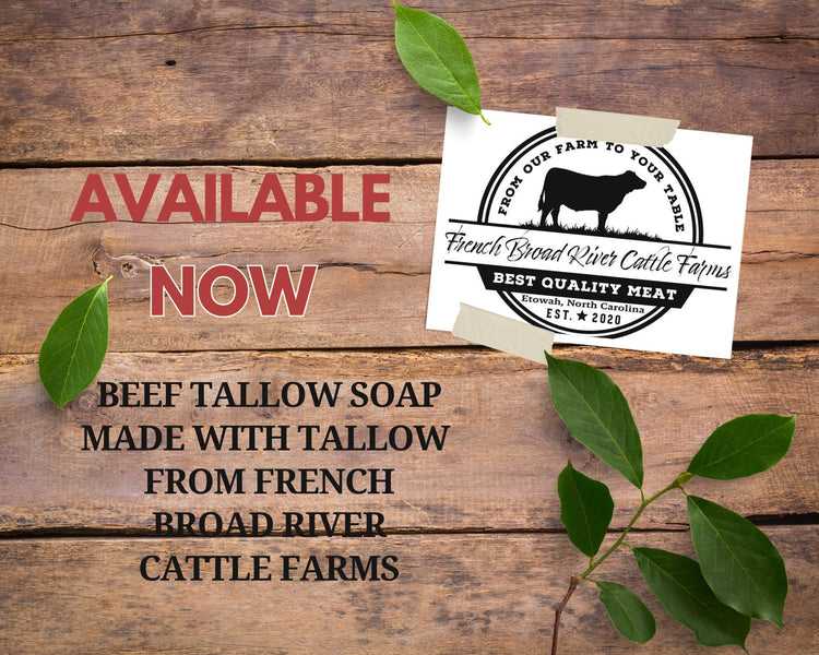 Beef Tallow Soap